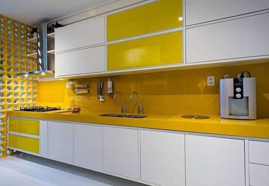 Stainless Steel Modular Kitchen Shutter Color Combinations for Home