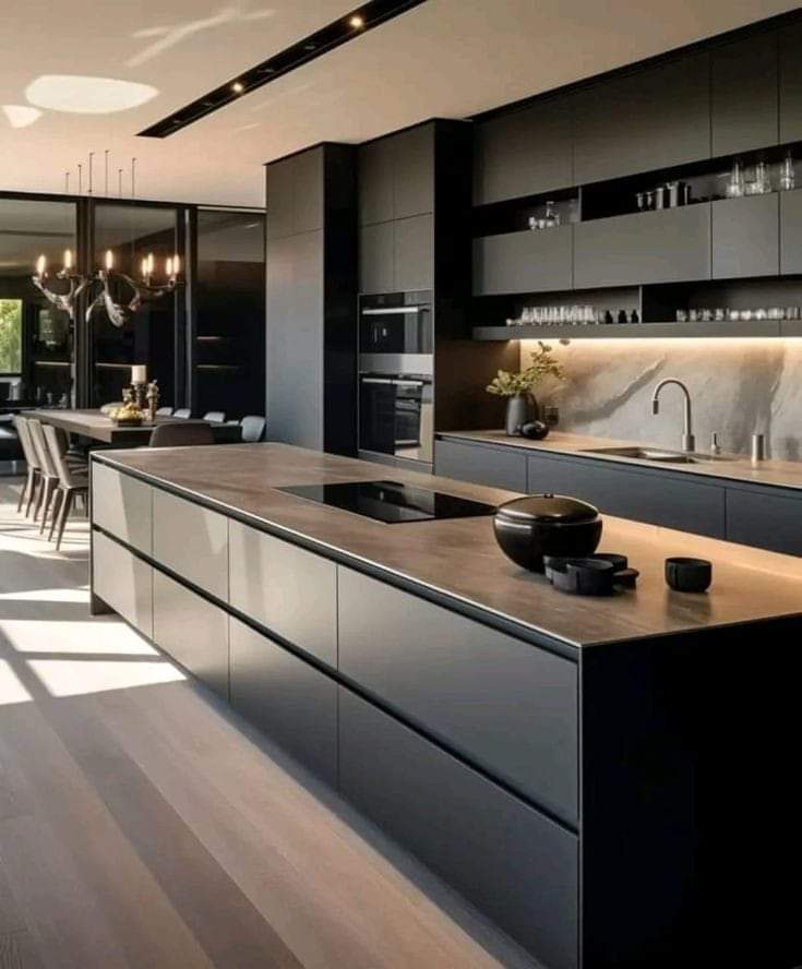 Stainless Steel Modular Kitchen with Saint Gobain Lacquered Glass Shutters