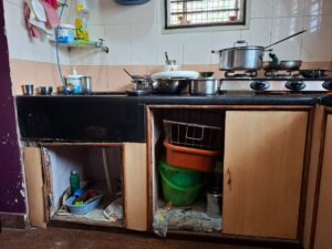 Stainless Steel Kitchen Renovation Expert Guide