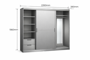 Stainless Steel Wardrobe with Mirror